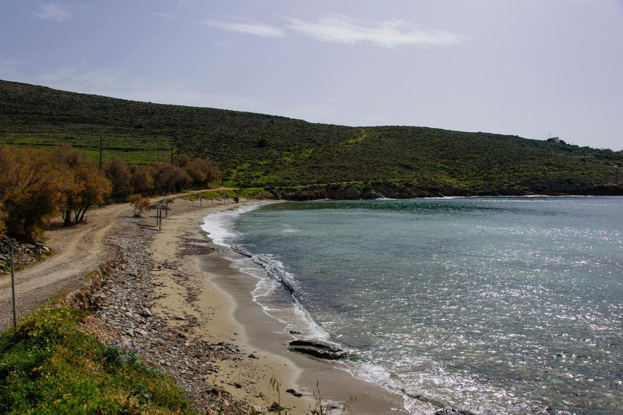 Mother'S House In Syros Aegean Sea Posidhonia  Экстерьер фото